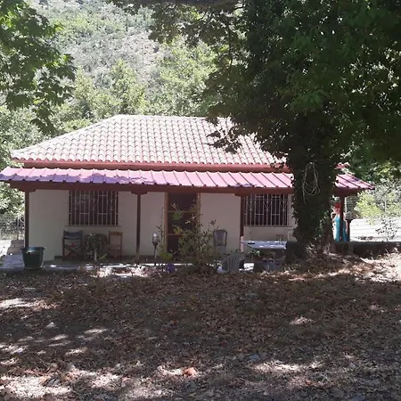 Among The Platans Holiday home