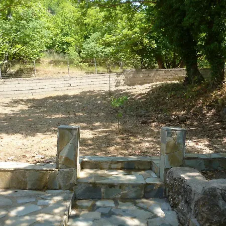 Among The Platans Seliana